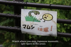 Mamushi sign